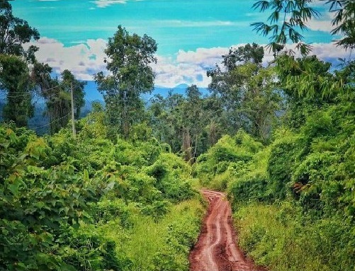 Cardamom Mountains secrets of Cambodia