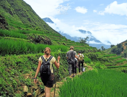 Sapa - Muong Hoa Valley Trekking