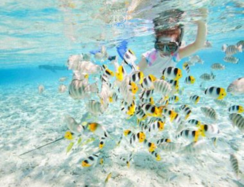 09 Days Best Of Angkor and Beach