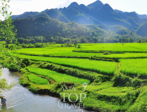 Pu Luong & Mai Chau Trekking