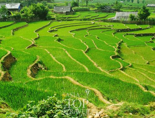Nghia Lo - Tu Le - Mu Cang Chai - Sapa
