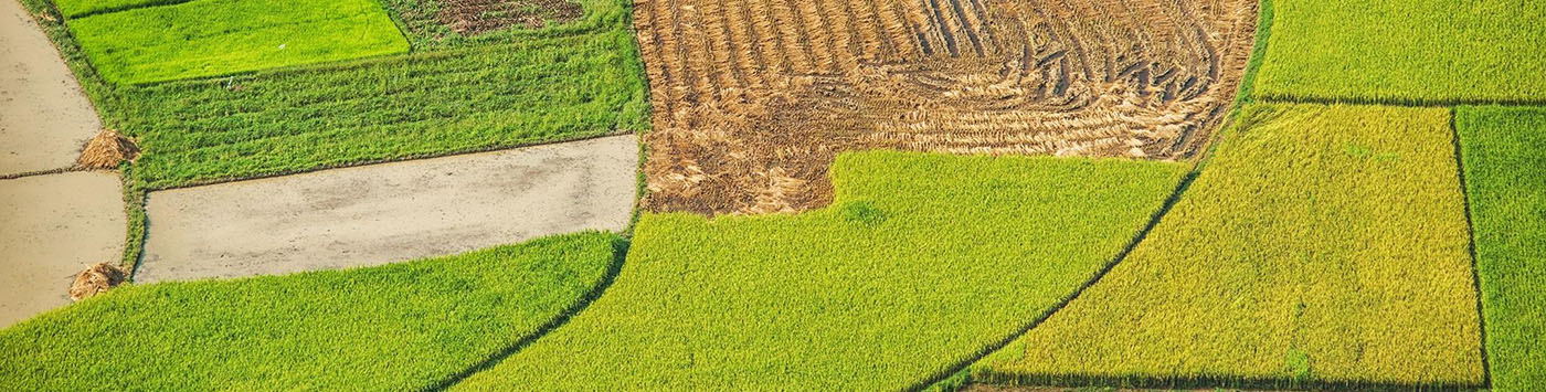 Northern Vietnam Off Beaten Track