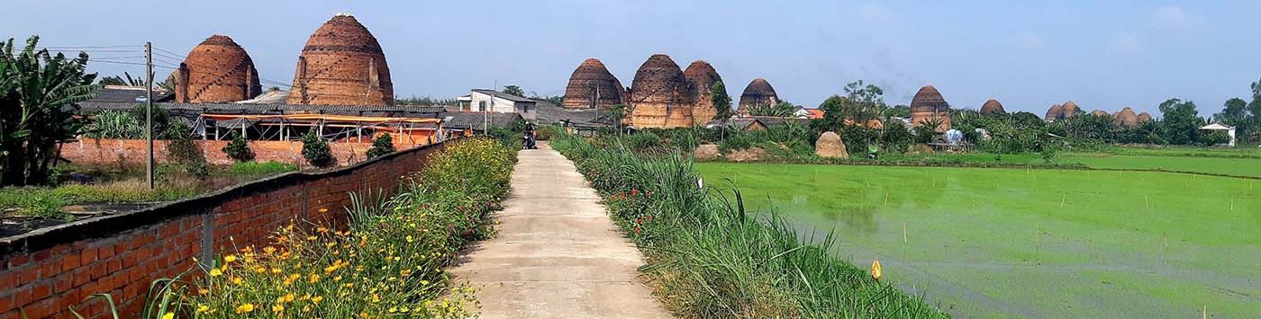 Mekong Delta in Depth