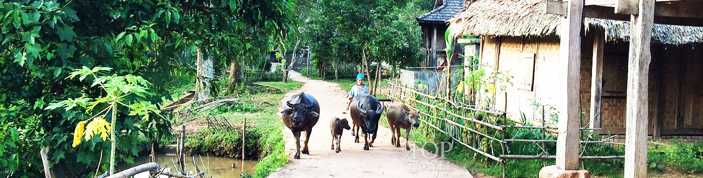 Pu Luong & Mai Chau Trekking