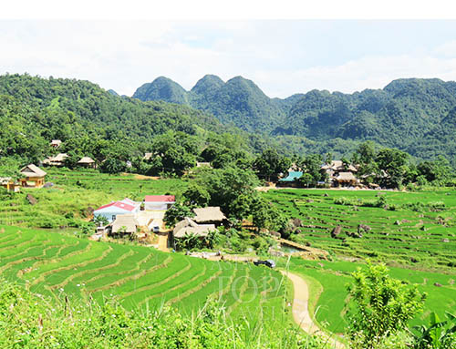 Pu Luong farmer