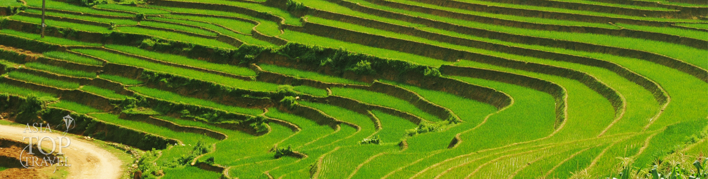 Sapa Hill Trible Market