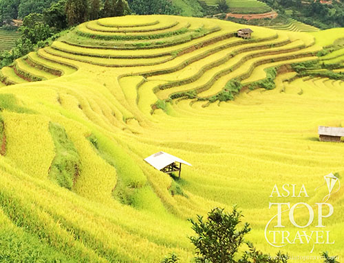 Bac Ha & Hoang Su Phi Trekking